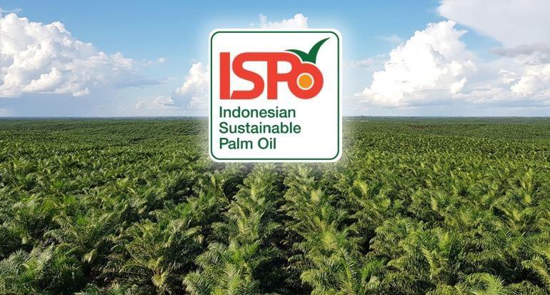 Ispo Rwanda Kendala Legalitas Lahan Hambat Sertifikasi ISPO Petani Sawit di Riau ...