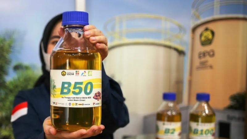 Implementasi B50 Dinilai Tak Tekan Ekspor Sawit Nasional