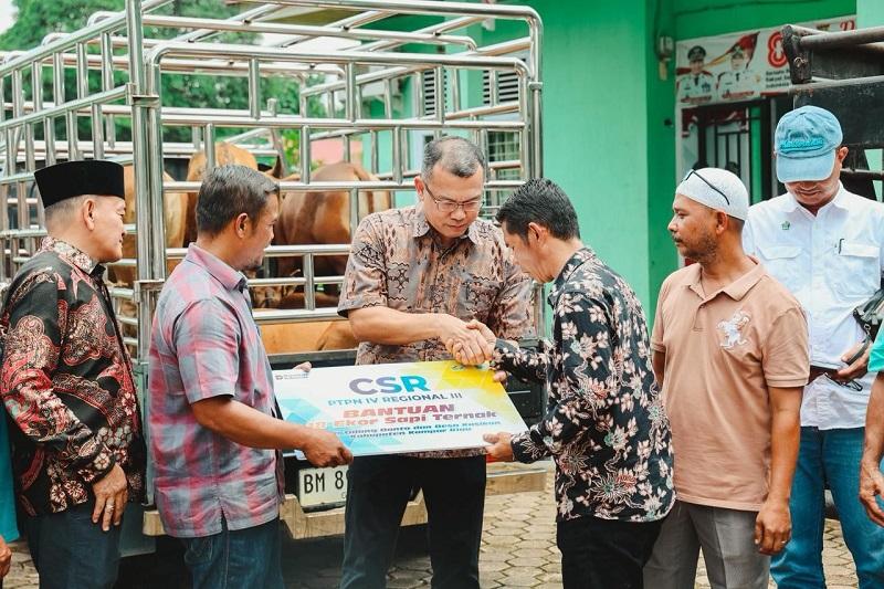 Perkuat Ketahanan Pangan Melalui Ternak Sapi, PTPN IV Rangkul Masyarakat Adat Kasikan-Talang Danto