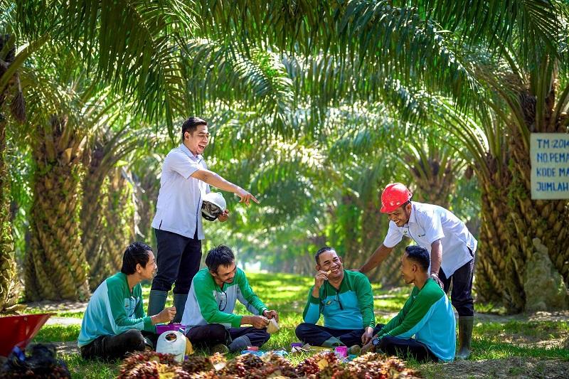 PalmCo Serap 70 Ribu Tenaga Kerja, Bidik Peluang Baru dari Hilirisasi Sawit