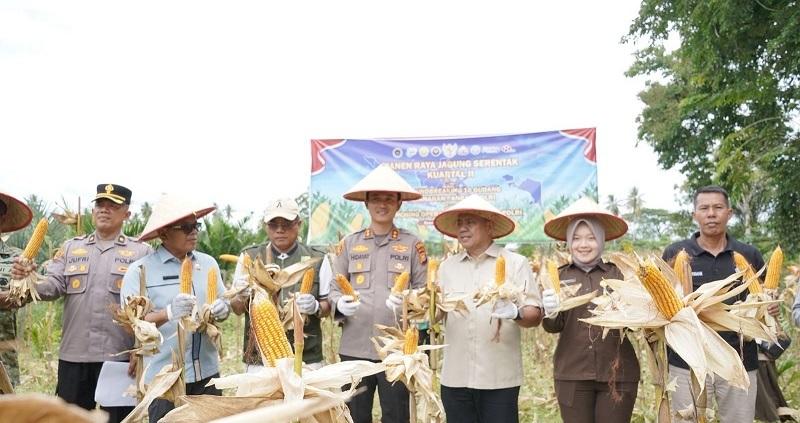 Kapolres Kuansing Pimpin Panen Raya Jagung Serentak di Kuantan Mudik