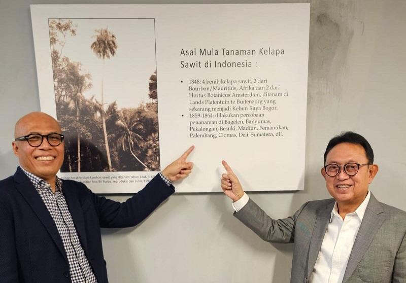Terus Tumbuh dan Berkembang, Ini Jejak 115 Tahun Sawit Indonesia
