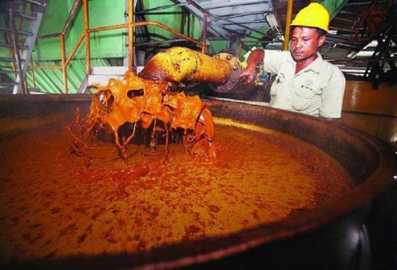 CPO Sentuh Rp15.025 per Kg, Tren Penguatan Harga Sawit Berlanjut
