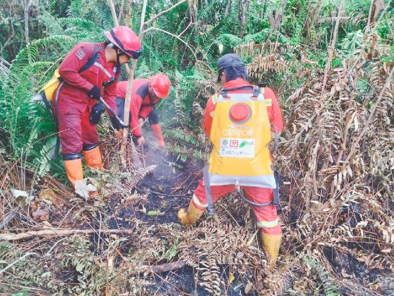 Karhutla Meluas di Pesisir Riau, Helikopter dan Ekskavator Dikerahkan