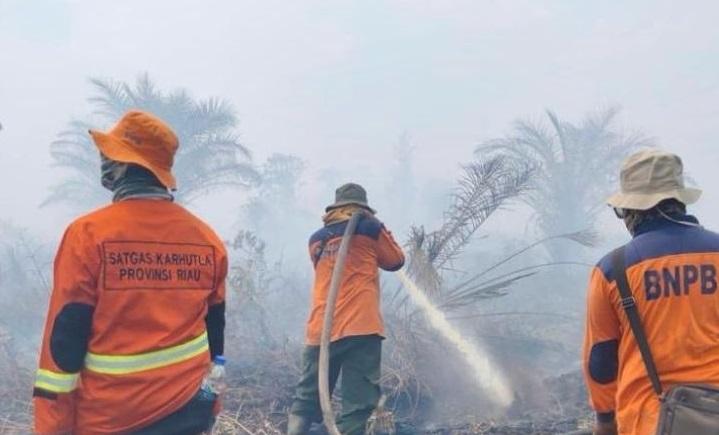 60 Titik Panas Terpantau BMKG di Riau, Terbanyak di Kabupaten Rokan Hulu