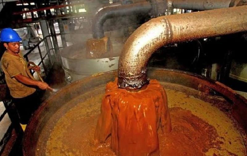 CPO Masih Kokoh, Harga di KPBN Tembus Rp15.155 per Kg