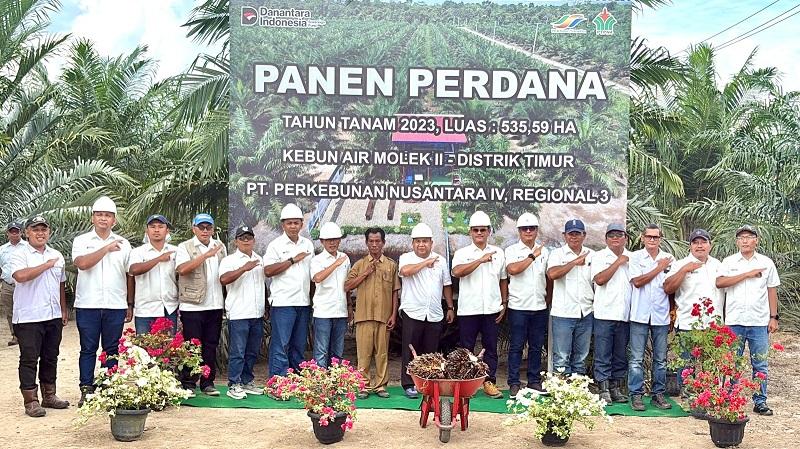 20260701-60panen.jpg