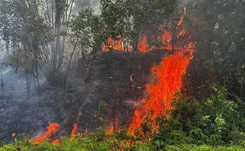 Pekanbaru Siaga Karhutla, BPBD Sebar 90 Personel ke Titik Kebakaran