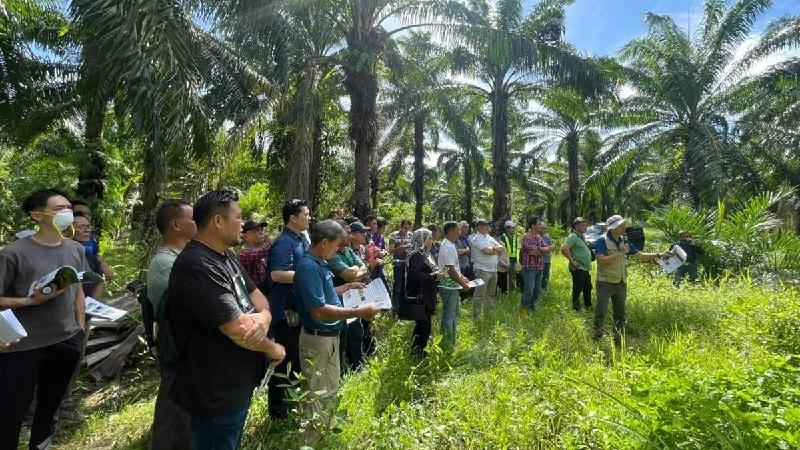 CPOPC Perluas Program Pemberdayaan Petani Sawit, Kini Menjangkau Malaysia