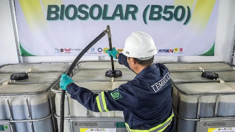 B50 Bikin Permintaan CPO Melejit, Mampukah Produksi Sawit Mengimbangi?