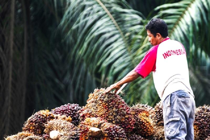 20260812-49petani.jpg