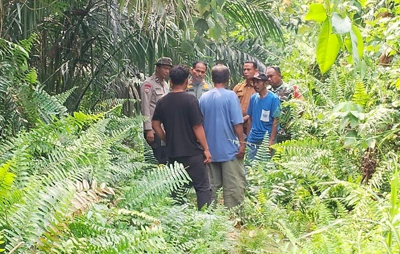 20260813-95kampar.jpg