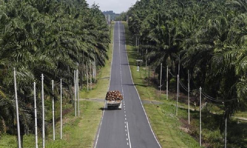 20260817-46kebun.jpg
