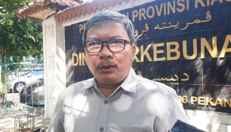 Pertanyakan Legalitas Kawasan Hutan, Korban Penertiban Satgas PKH Siapkan Gugatan Massal