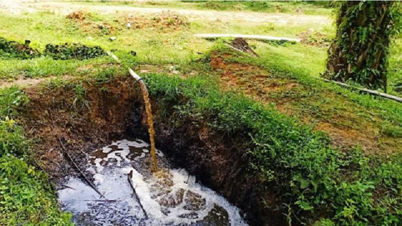 8 Perusahaan Sawit di Riau Diduga Langgar Aturan Lingkungan, DPR RI dan Gakkum Turun Tangan