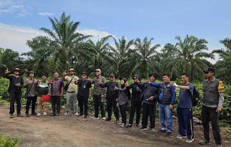 Kalah Gugatan, PT MMJ Wajib Tebang 13 Ribu Hektare Sawit di Pulau Rupat