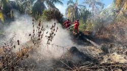 Karhutla Riau Belum Padam, Manggala Agni Lanjutkan Pendinginan di Rohil dan Siak