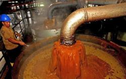 CPO Masih Kokoh, Harga di KPBN Tembus Rp15.155 per Kg