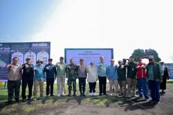Hari Mangrove Sedunia, M4CR Riau Tanam 1.000 Bibit Mangrove di Bengkalis
