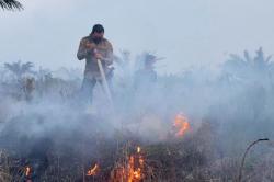 Hotspot Riau Kembali Naik, BMKG Deteksi 64 Titik hingga Sore Ini