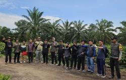 Kalah Gugatan, PT MMJ Wajib Tebang 13 Ribu Hektare Sawit di Pulau Rupat